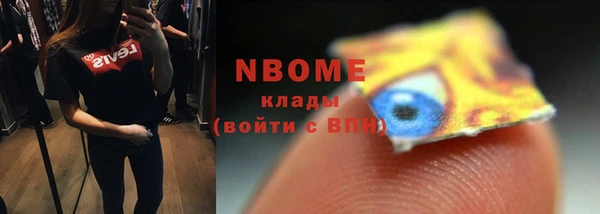 мдпв Богородицк