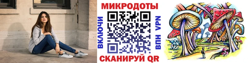 Псилоцибиновые грибы MAGIC MUSHROOMS  наркота  Кашин 