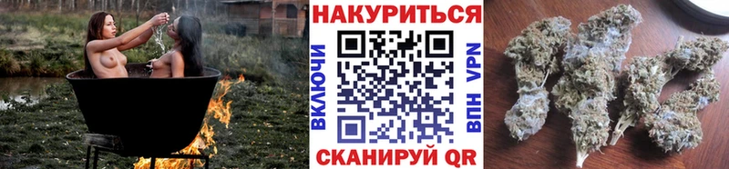 Конопля семена  Кашин 